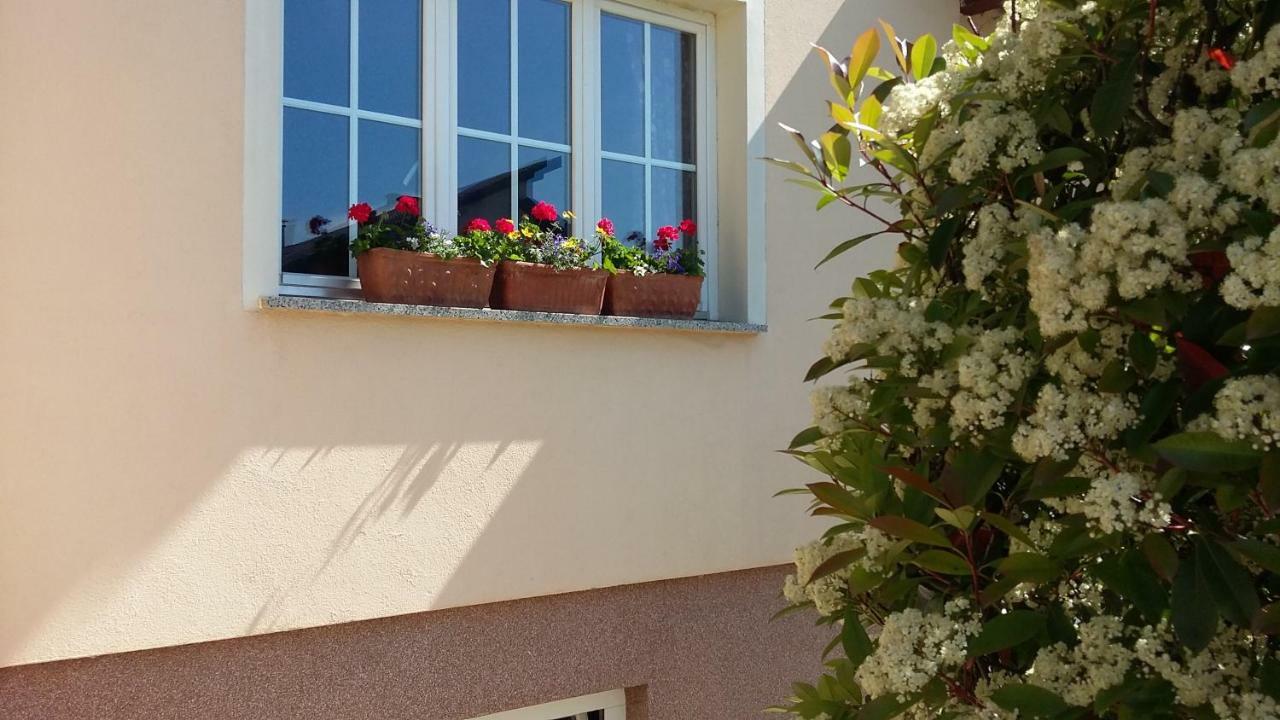 Apartments Place4You Бйеловар Екстериор снимка